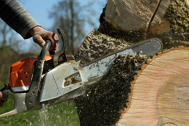 Lawn Grading and Leveling in Yorkville, WI
